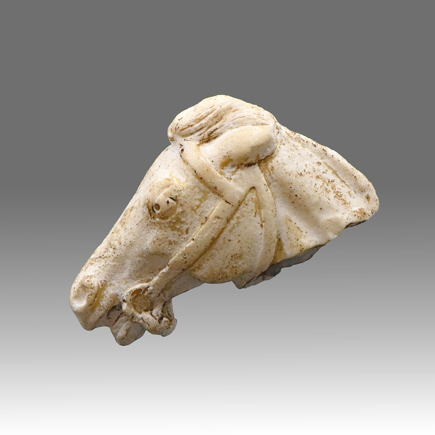 A Roman Limestone Fragment of a Horse Head, Roman Imperial Period, ca. 1st - 2nd century CE