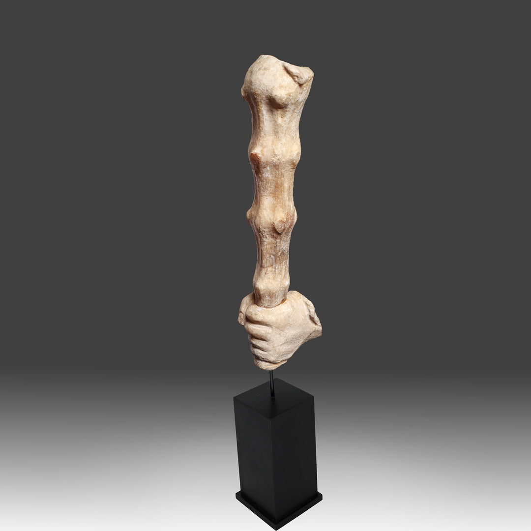 Roman Marble Hand of Hercules Holding his Club, Roman Imperial Period, ca. 2nd - 3rd century CE