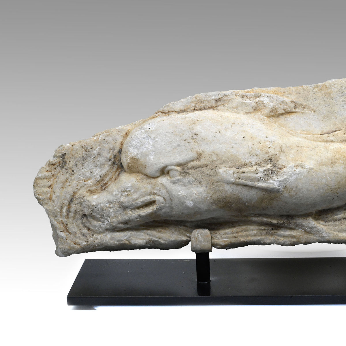 A Roman Marble Relief Fragment with a Dolphin, Roman Imperial Period, ca. 1st - 3rd century  CE