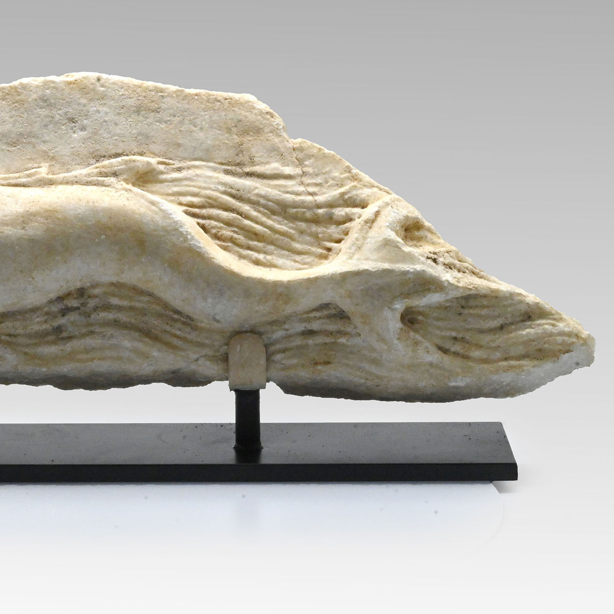A Roman Marble Relief Fragment with a Dolphin, Roman Imperial Period, ca. 1st - 3rd century  CE