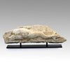A Roman Marble Relief Fragment with a Dolphin, Roman Imperial Period, ca. 1st - 3rd century  CE