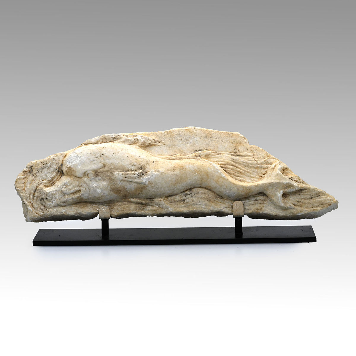 A Roman Marble Relief Fragment with a Dolphin, Roman Imperial Period, ca. 1st - 3rd century  CE