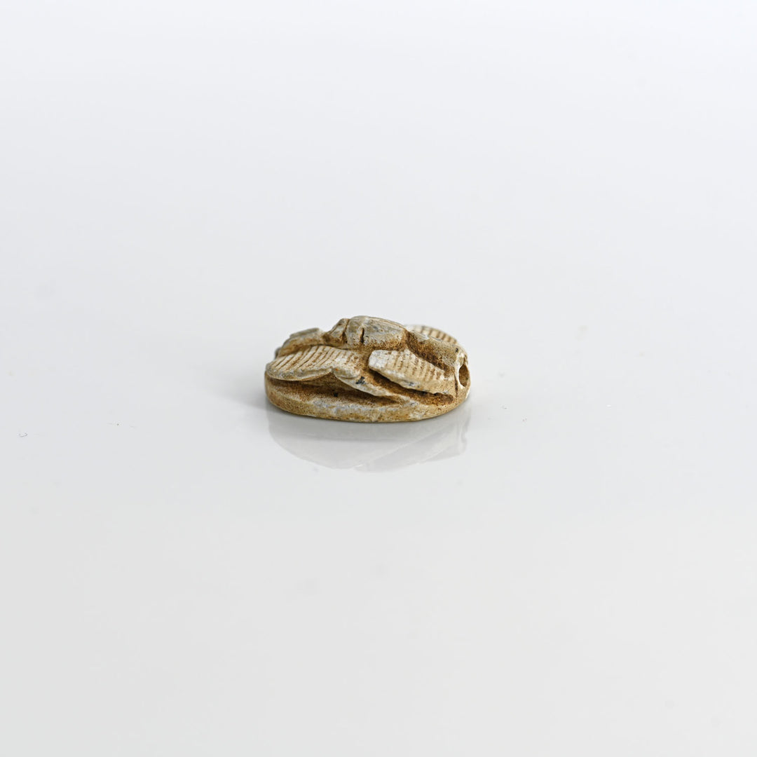 An Egyptian Steatite Design Scarab, Hyksos Period, ca. 1759 - 1539 BCE