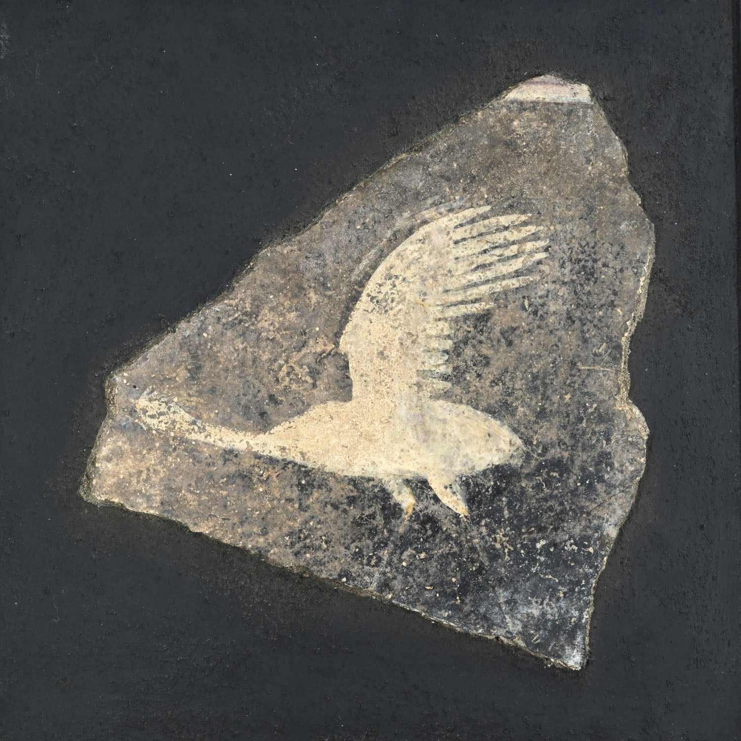 A Roman Fresco Wall Painting Fragment, Early Roman Imperial Period, ca. 15 BCE - 50 CE