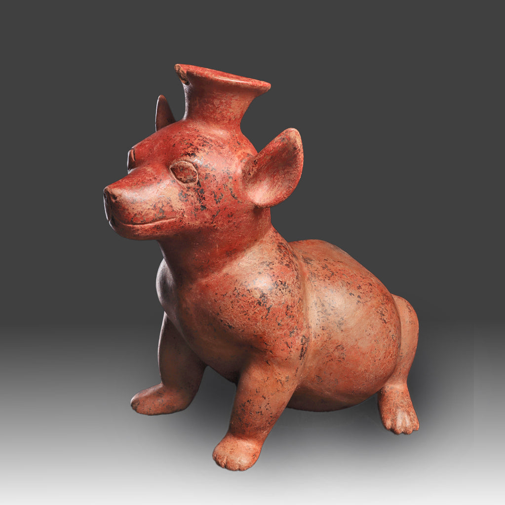 A good Colima Redware seated Dog, ca. 250 BCE - 100 CE