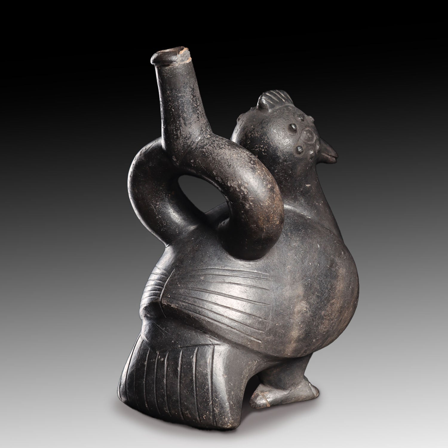 An Exhibited Moche Vessel of a Muscovy Duck, Early Intermediate Period - Middle Horizon, ca. 200 - 900 CE