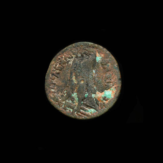 Ptolemäische Könige von Ägypten, Ptolemaios III. Euergetes Bronze, ca. 246 - 222 v. Chr
