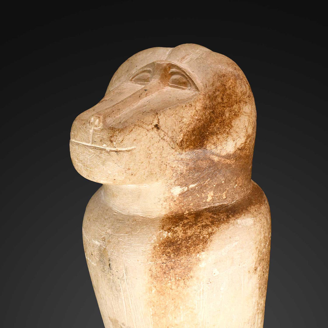 An Egyptian Limestone Dummy Canopic Jar of Hapi, ca. 712–664 BCE