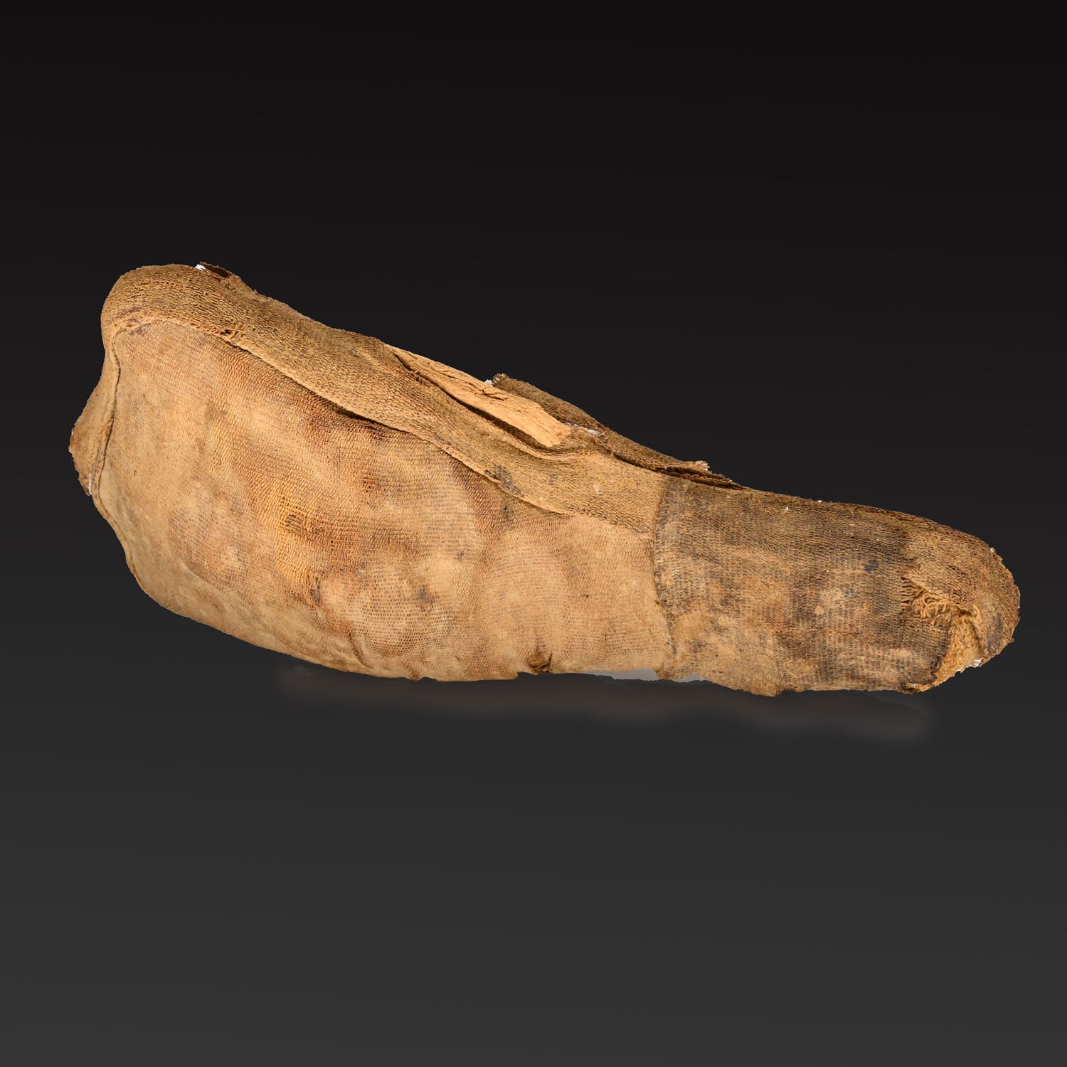 An Egyptian Sacred Animal Mummy of an Ibis, Late Period, ca. 664 - 332 BCE