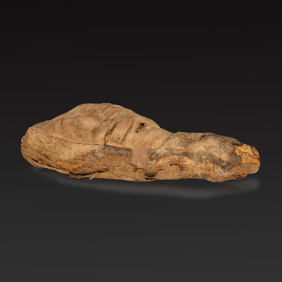 Eine ägyptische heilige Tiermumie eines Ibis, Spätzeit, ca. 664 - 332 v. Chr
