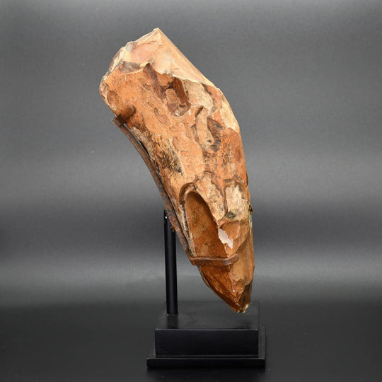 A Published Egyptian flint Homo Erectus Hand Axe from the Thebaid, Late Paleolithic to Mesolithic Period, ca. 30,000 - 15,000 BCE