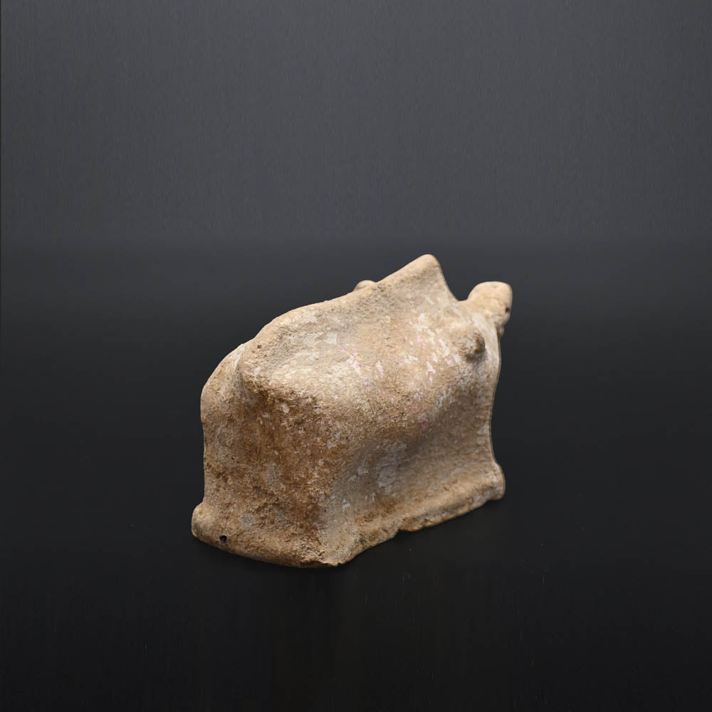 Ein Canosan-Terrakotta-Eber, ca. 4. Jahrhundert v. Chr