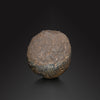 Un sceau de timbre en stéatite du Proche-Orient<br> <em>Fin du Néolithique, env. 5300 - 5100 avant notre ère</em>