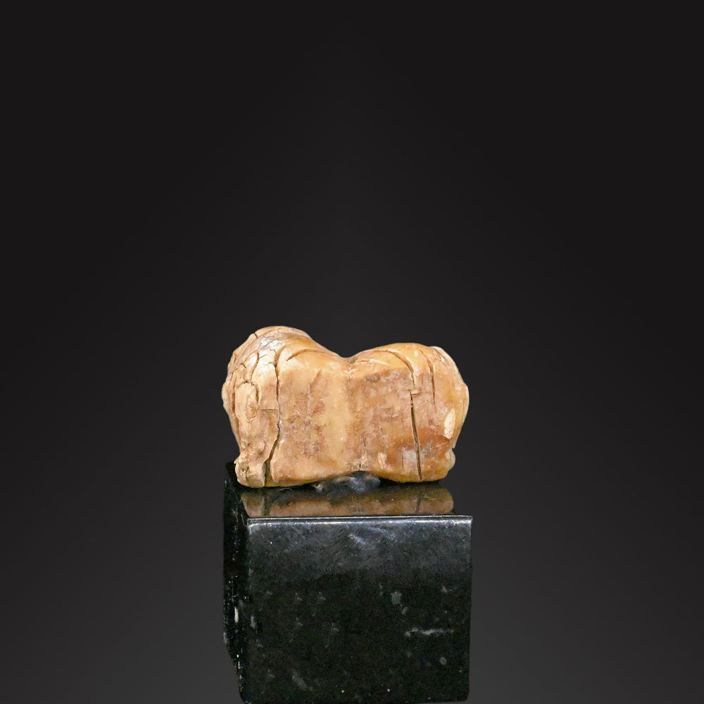 A Sumerian Shell Amulet of a Recumbent Bull, Middle Gawra Period, ca. 3500 - 3300 BCE