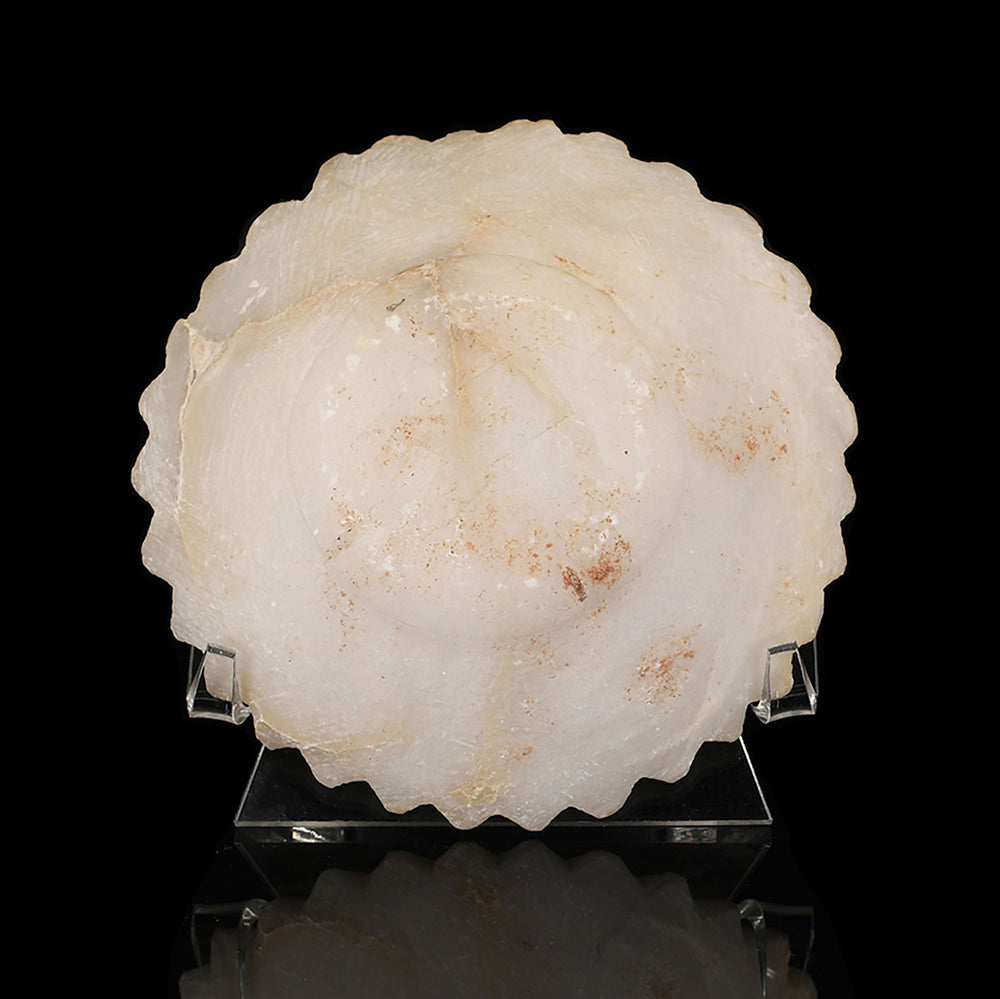 * A Sumerian Alabaster Scalloped-Edged Bowl, Early Dynastic IIIa, ca. 2600 – 2500 BCE - Sands of Time Ancient Art