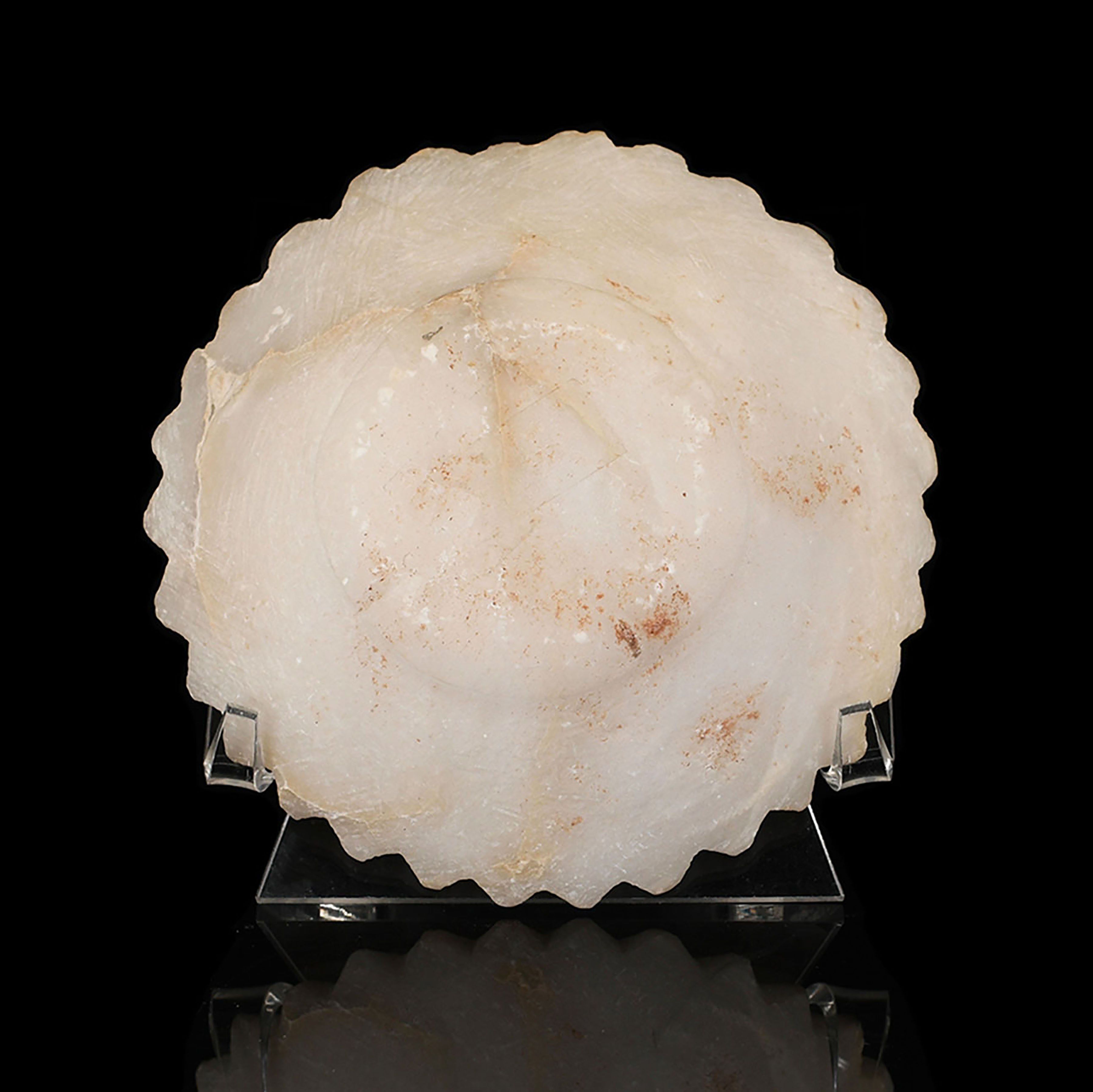 * A Sumerian Alabaster Scalloped-Edged Bowl, Early Dynastic IIIa, ca. 2600 – 2500 BCE - Sands of Time Ancient Art